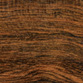 Bocote